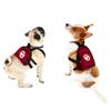 Littlearth Unisex-Adult NCAA Oklahoma Sooners Pet Mini Backpack, Team Color, Medium view 2