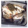 Allinliner Plastic Cooler Liner 3 Pack BPA Free 102 Qt. Ice Chest Liner for Fishing, Camping, BBQ, Butchering by Allinliner view 4