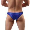 IBAKOM Men's Sissy Lace Floral Bulge Pouch Bikini Panties Low Rise Mesh Translucent Crossdress Lingerie Underwear Blue Medium view 1