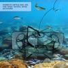 Health Gear Folded Fishing Net Trap, Fish Shrimp Crab Baits Crayfish Minnow Trap, Automatic Cast Mesh Fishing Net for Fish Shrimp Minnow Crayfish Crab (6 Hole) view 2