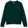 Amazon Essentials Boys' Cotton Uniform Crewneck Pullover Sweater, Green, X-Small view 1