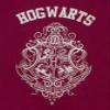 Harry Potter Hogwarts Crest Glitter Print Girl's Long OR Short Leg Pajamas 7-8 Years view 4