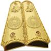 Replacement 1911 Grips Full Size for Colt Rock Island Springfield Taurus & Clones, Gold Grips, fits Standard Government 1911 Models view 2