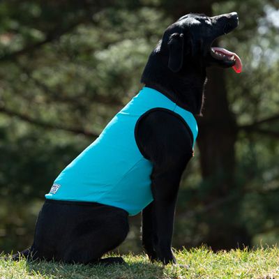Terrain D.O.G. Cooling Vest - Cooling Fabric Powered by Coolcore Technology, Turquoise, Medium (37005-50-31)