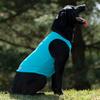 Terrain D.O.G. Cooling Vest - Cooling Fabric Powered by Coolcore Technology, Turquoise, Medium (37005-50-31) view 1
