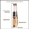 SS Kashmir Willow Leather Ball Cricket Bat, Exclusive Cricket Bat for Adult Full Size with Full Protection Cover (Master) view 3