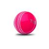 jaspo PVC T-20 Cricket Balls, (Multicolour) view 2