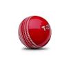 jaspo PVC T-20 Cricket Balls, (Multicolour) view 3