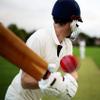 jaspo PVC T-20 Cricket Balls, (Multicolour) view 4