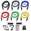 EILISON 13 PCS Resistance Band Kit with Heavy Duty Protective Nylon Sleeves for Safe Workout and Soft Anti-Slip Foam Handle, Door Anchor, Ankle Strap for Men and Women Stackable Upto 210LBS view 1
