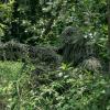 Ghillie Suit for Men, 5 in 1 Ghillie Suit Superior Camo Hunting Clothes for Kids/Youth Hunters, Military, Sniper Airsoft and Paintball view 2