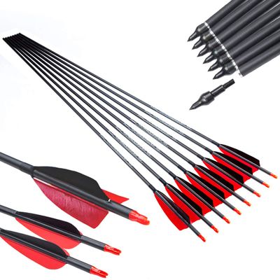 Pinals Archery 300 340 400 500 600 700 800 Spine Carbon Arrows for Compound Recurve Bow Traditional Longbow 30 32 Inch Shafts Hunting Target Feather Arrow 12PCS 500