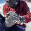 Stormy Kromer The Kids Mitts - Winter Mittens for Kids, Snow Gloves with Sherpa Lining view 3
