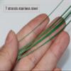 10pcs Fishing Wire Leaders Heavy Duty Nylon-Coated Fishing Line Wire Leaders with Swivels and Snaps 18inch, 45LB view 4