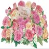 Sanrio FA10-0 P1710 Fluorar Card with Lurex view 1