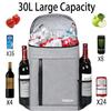 FORICH Soft Cooler Backpack Insulated Waterproof Backpack Cooler Bag Leak Proof Portable Small Cooler Backpacks to Work Lunch Travel Beach Camping Hiking Picnic Fishing Beer for Men Women view 3