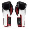 Fairtex BGV5 Muay Thai Boxing Gloves for Men, Women, Kids | Special Lock Thumb Design | MMA Gloves| Premium Quality, Light Weight & Shock Absorbent Boxing Gloves-(Black/White/Red Piping/12oz) view 2
