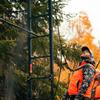 Rivers Edge 30 Safety Rope, 30' Long Weather-Resistant Rope, Treestand Safety, Heavy-Duty Locking Carabiner, 300 lb. Capacity, RE787 view 2