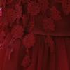 Baby Girl Birthday Dress Christening Baptism Lace Flower Embroidery Sleeveless Princess Tutu Tulle Dress Formal Party Pageant Evening High Low Hem Trailing Gown Dark Red 12-18 Months view 4