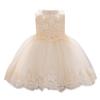 Baby Infant Formal Dress Flower Girl Wedding Bridesmaid Lace Tutu Tulle Summer Sleeveless Knee Length Bowknot Baptism Christening Evening Pageant Dress Photography Champagne 18-24M view 1