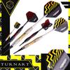 Turnart Darts Plastic Tip - Professional Soft Tip Darts Set for Electronic Dartboard 9 Pcs 18 Grams with 50 Extra Tips 9 Shafts 27 Flights Tool Kit Flight Protectors and Gift Darts Case (Gold) view 3