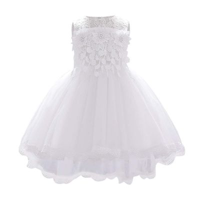 Baby Girl Birthday Dress Christening Baptism Lace Flower Embroidery Sleeveless Princess Tutu Tulle Dress Formal Party Pageant Evening High Low Hem Trailing Gown White 02 18-24 Months