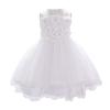 Baby Girl Birthday Dress Christening Baptism Lace Flower Embroidery Sleeveless Princess Tutu Tulle Dress Formal Party Pageant Evening High Low Hem Trailing Gown White 02 18-24 Months view 1