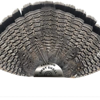 Premium Shot Shell Grouse Fan Mount - Small, Stainless Steel, Classy Clean Look