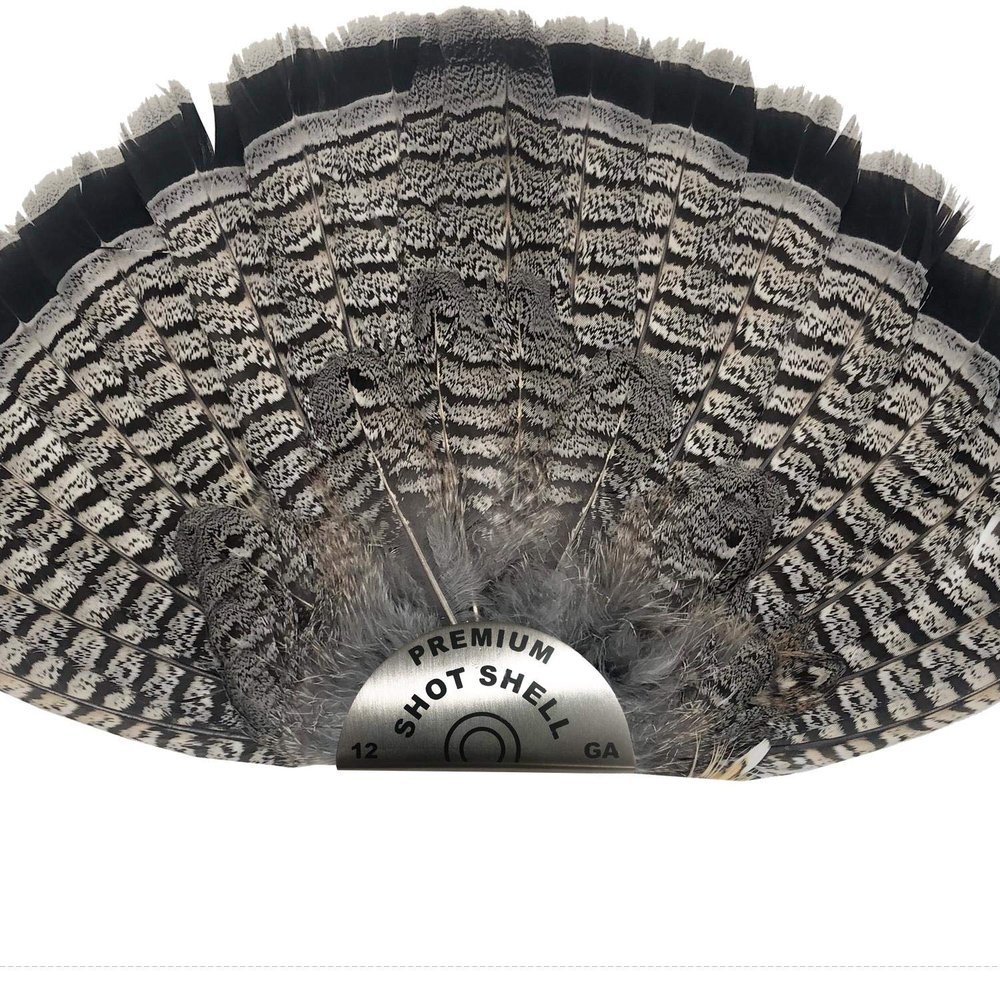 Premium Shot Shell Grouse Fan Mount - Small, Stainless Steel, Classy Clean Look