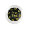 12 LED Underwater Light White PC view 2