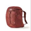 Gregory Arrio 24L Unisex Day Hiking Backpack with Ventilated Backpanel and Built-in Hydration Attachment (Reservoir Not Included), One Size Fits All, Brick Red view 1