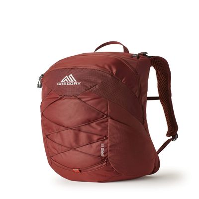 Gregory Arrio 22L Unisex Day Hiking Backpack with Ventilated Backpanel and Built-in Hydration Attachment (Reservoir Not Included), One Size Fits All, Brick Red