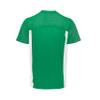 Augusta Sportswear Mens Reversible Flag Football Jersey, Kelly/White S view 3
