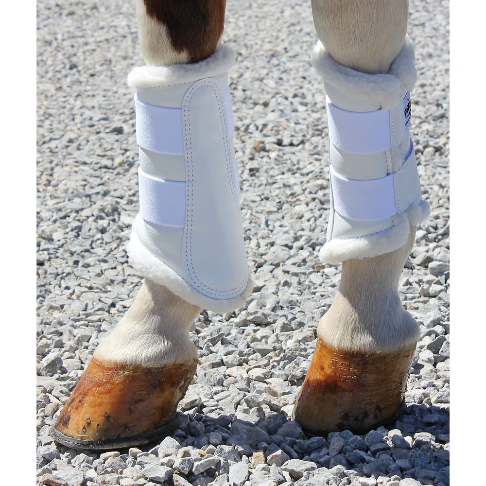 DSB Dressage Sport Boot