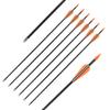 Elong Fiberglass Arrows Archery 28 Inch Target Shooting Practice Safetyglass Recurve Bows Suitable for Youth Children Woman Beginner (6 pcs) view 1