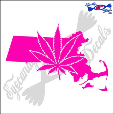 Eyecandy Decals Massachusetts State Shape with Marijuana Leaf 6 INCH Decal Sticker HOT Pink