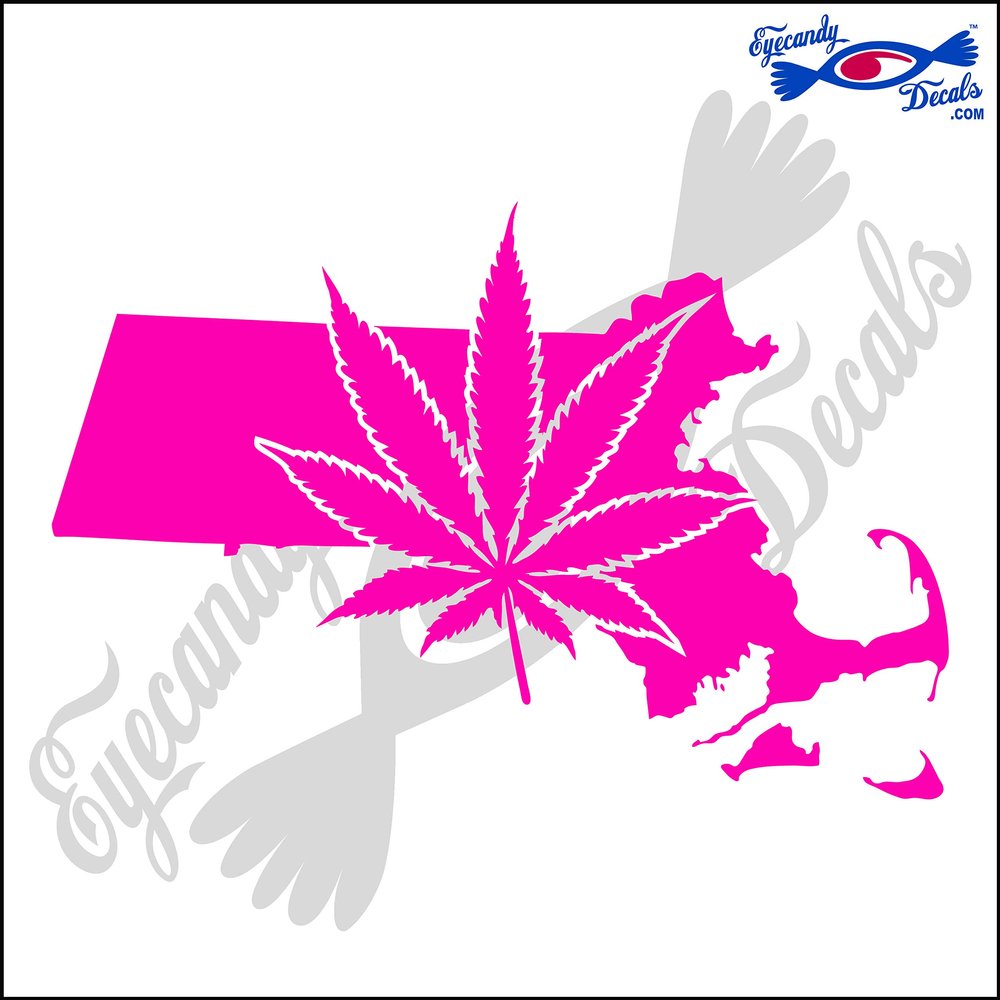 Eyecandy Decals Massachusetts State Shape with Marijuana Leaf 6 INCH Decal Sticker HOT Pink
