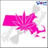Eyecandy Decals Massachusetts State Shape with Marijuana Leaf 6 INCH Decal Sticker HOT Pink view 1