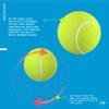 DUNLOP ATP Championship Regular Duty Tennis Balls, Case view 2