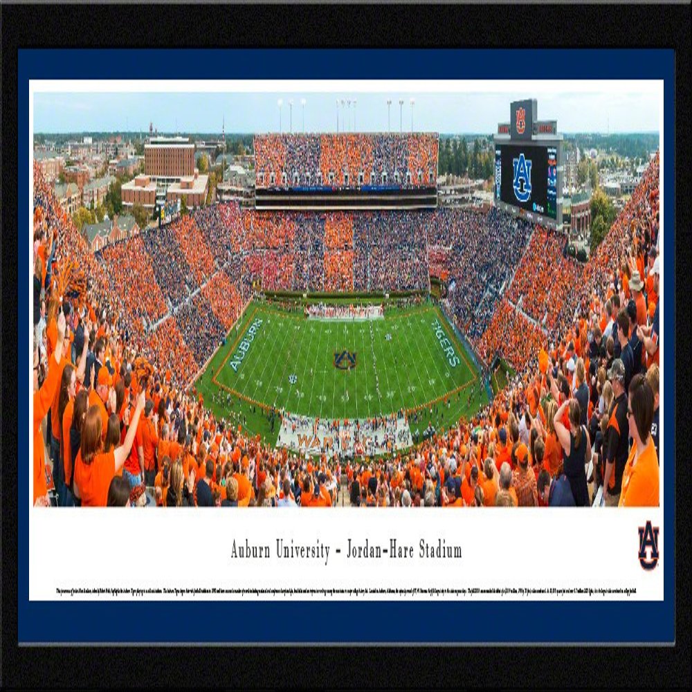 Blakeway Worldwide Panoramas, Auburn Football, Stripe the Stadium - 42x15.5-inch Panoramic Framed Art Print with Mat