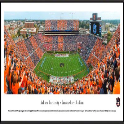 Blakeway Worldwide Panoramas, Inc. Auburn Football, Stripe the Stadium - 40.25x13.75-inch Panoramic Framed Picture