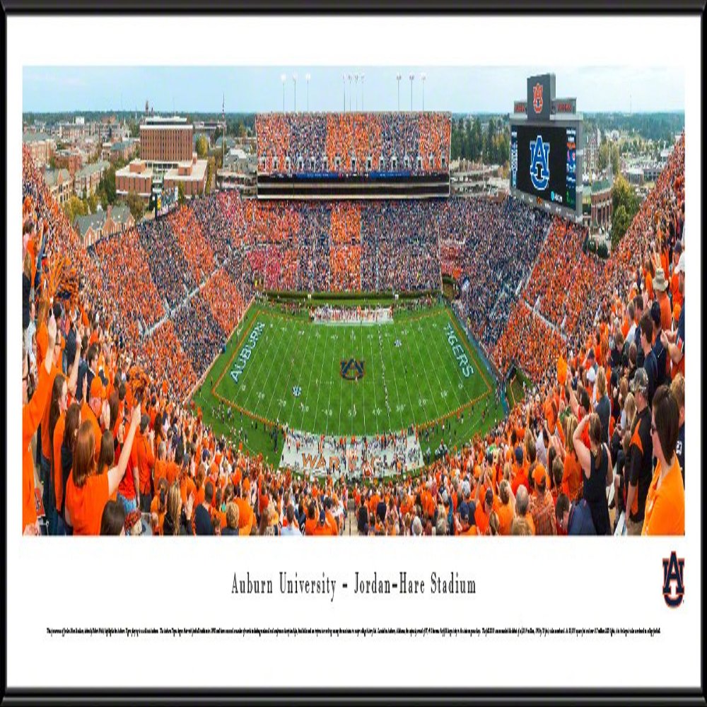 Blakeway Worldwide Panoramas, Inc. Auburn Football, Stripe the Stadium - 40.25x13.75-inch Panoramic Framed Picture