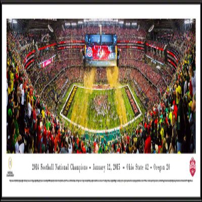 Blakeway Worldwide Panoramas, 2014 College Football Champions - 40.25x13.75-inch Aluminum Framed Photograph