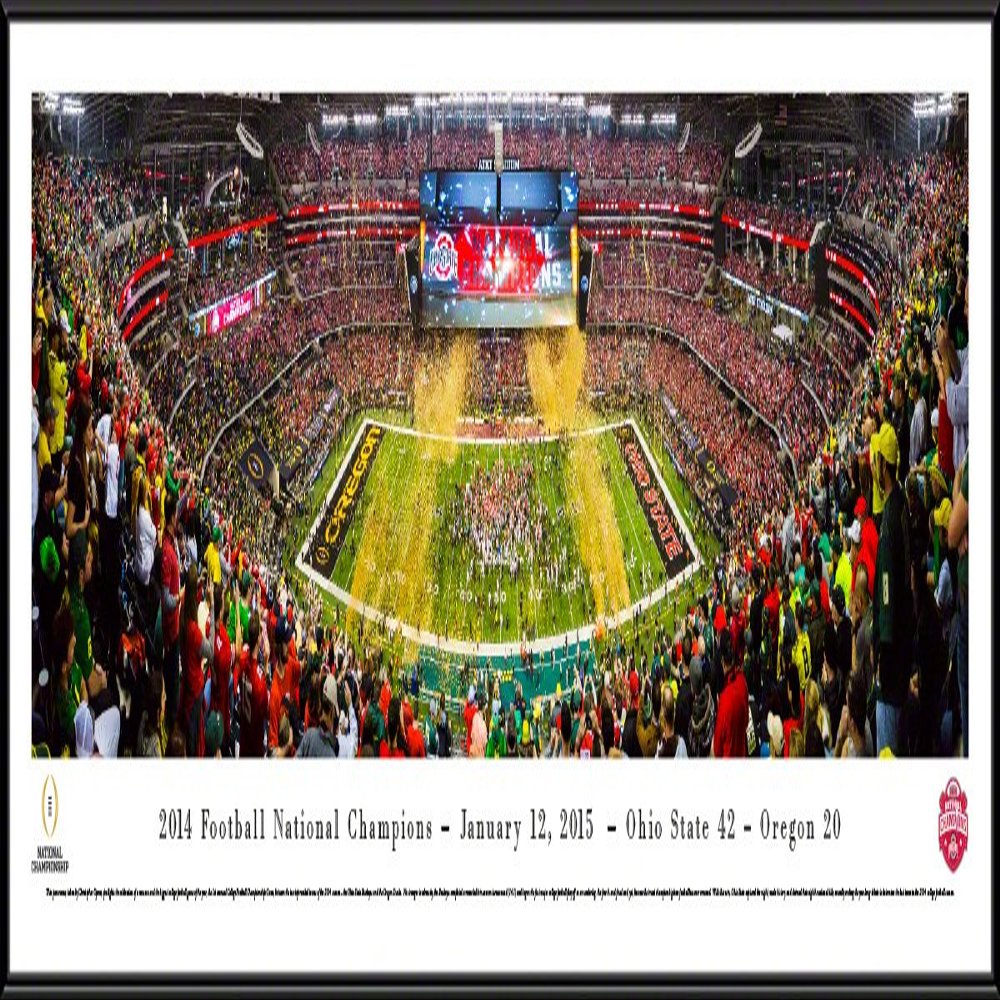 Blakeway Worldwide Panoramas, 2014 College Football Champions - 40.25x13.75-inch Aluminum Framed Photograph