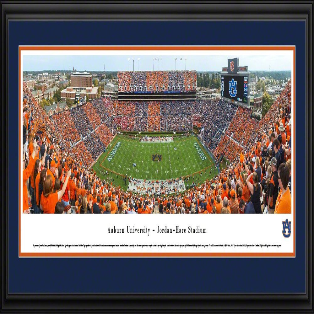 Auburn Football, Stripe the Stadium - 44x18-inch Panoramic Deluxe Framed Picture with Mat