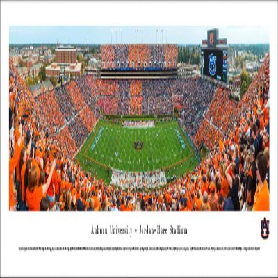 Blakeway Worldwide Panoramas, Inc. Auburn Football, Stripe the Stadium - 40x13.5-inch Panoramic Poster