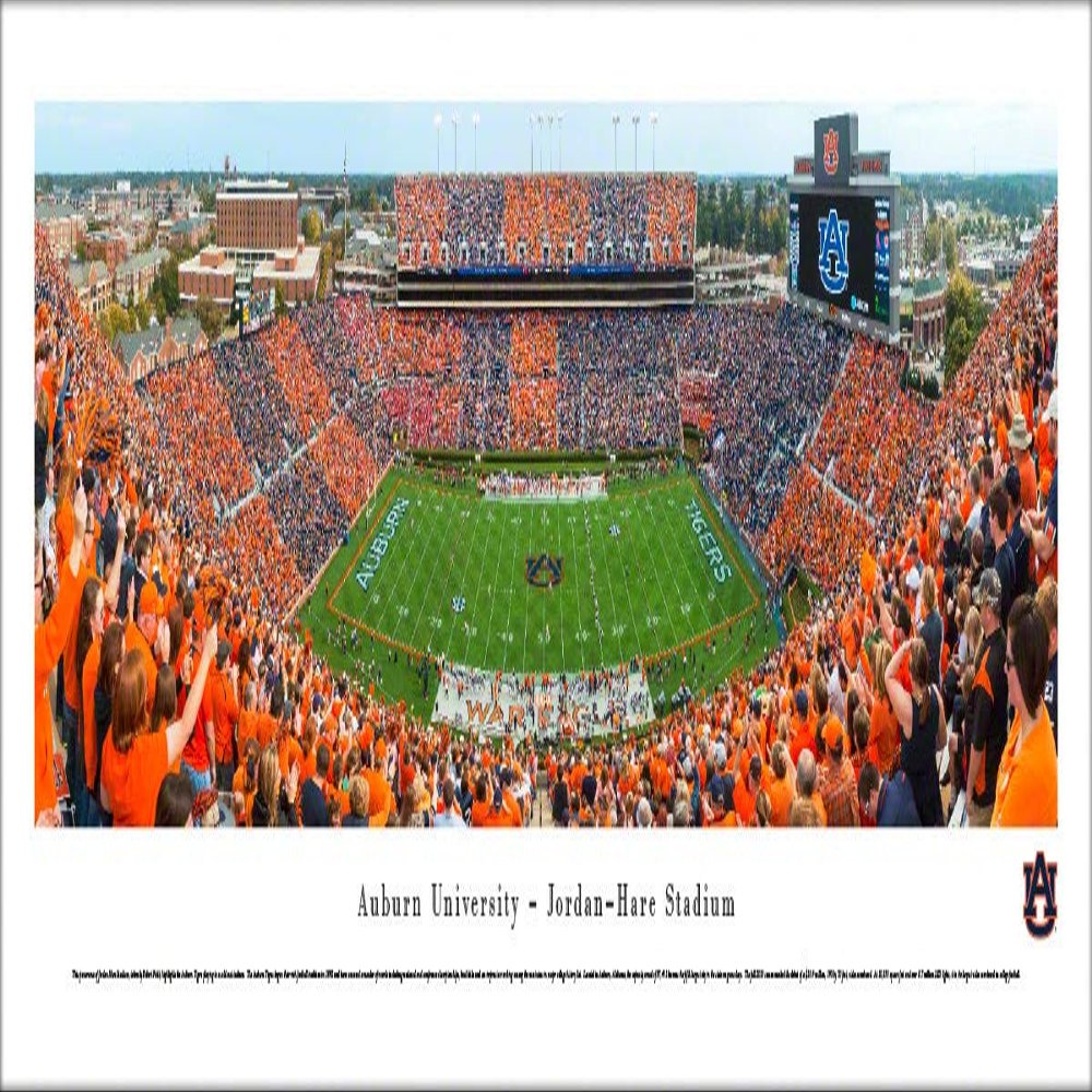Blakeway Worldwide Panoramas, Inc. Auburn Football, Stripe the Stadium - 40x13.5-inch Panoramic Poster