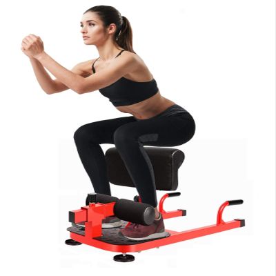 X-Factor Sissy Squat Multifunction Home Gym Exercise Workout Deep Squat Strength Training Leg Extensions