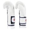 Fairtex Muay Thai Boxing Gloves BGV9 - Heavy Hitter Mexican Style Training & Sparring Gloves for Kick Boxing MMA K1 (White/Blue Piping, 12 oz) view 4