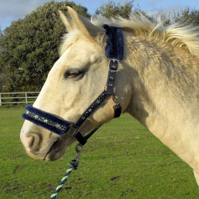 Rhinegold Crystal Star Headcollar & Rope Set,Navy/Green